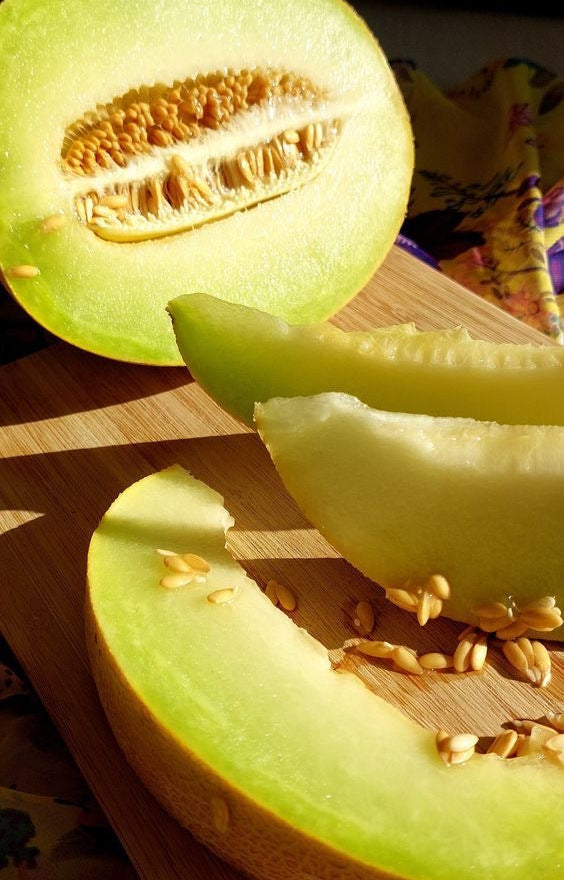 CUBE DE CIRE - MELON MIEL