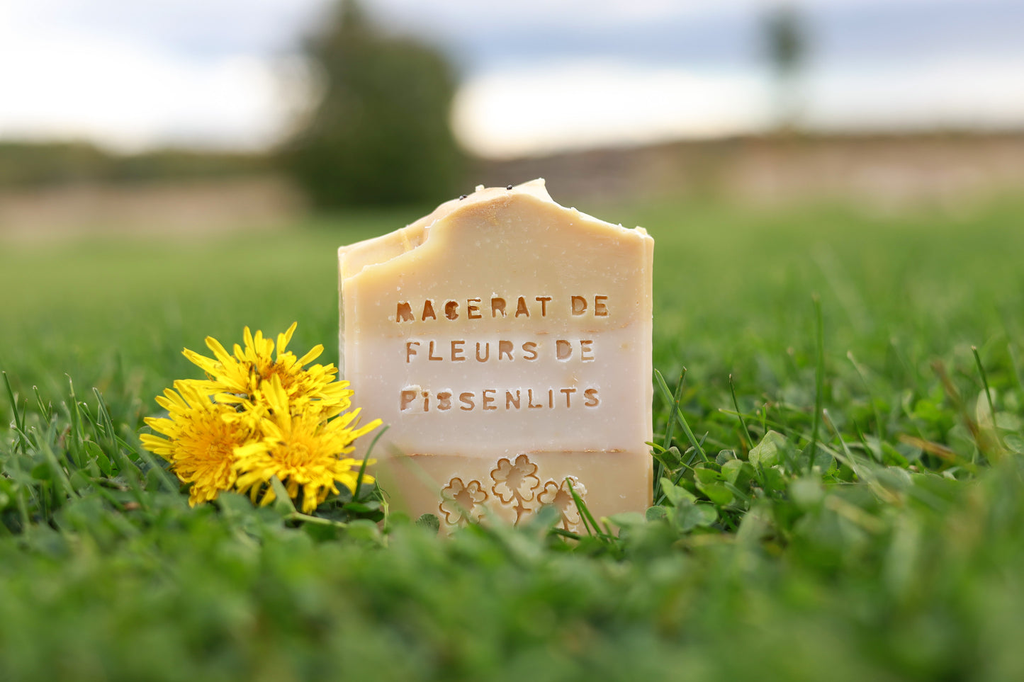 SAVON - AU MACÉRÂT DE PISSENLITS