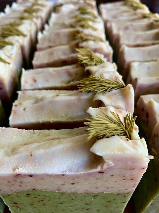 SAVON - MACÉRÂT DE POUSSES D’ÉPINETTE