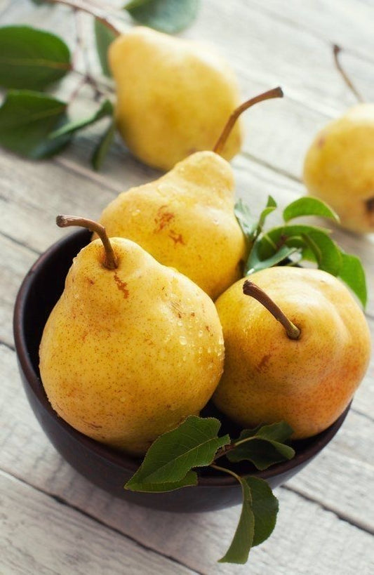BRUINE - POIRE SUCRÉE ET BASILIC