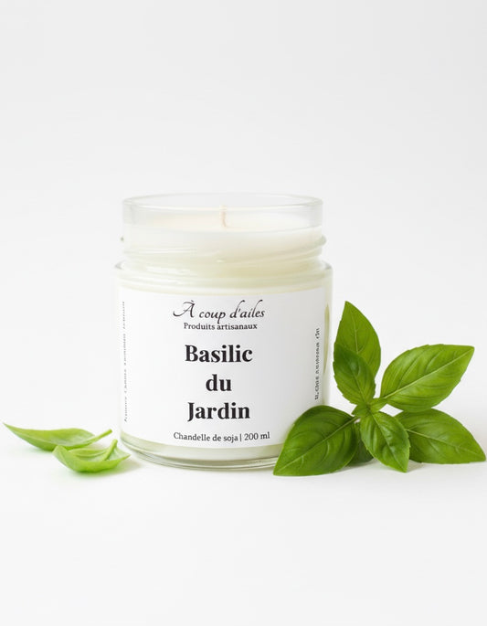 BASILIC DU JARDIN - CHANDELLE 8oz