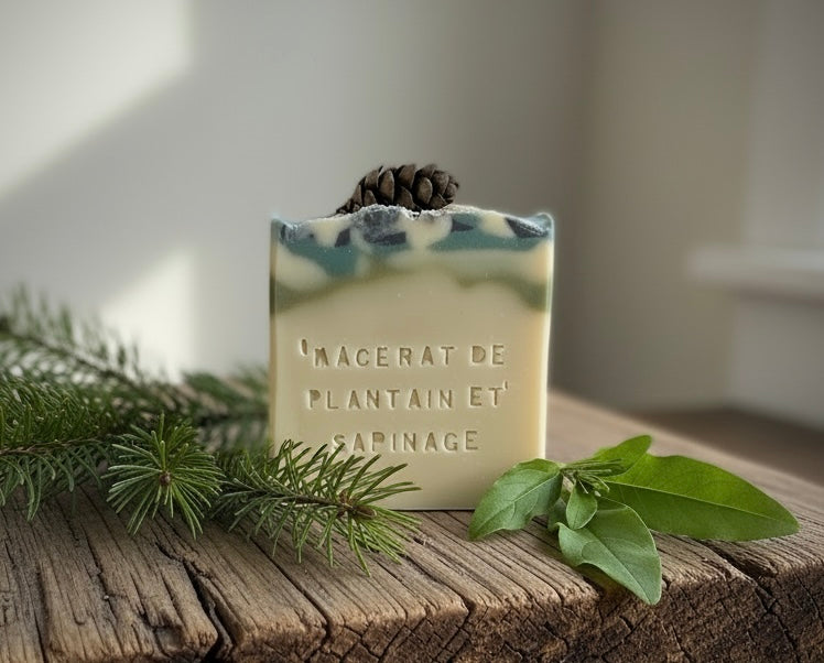 MACÉRAT DE PLANTAIN ET SAPINAGE - SAVON ARTISANAUX