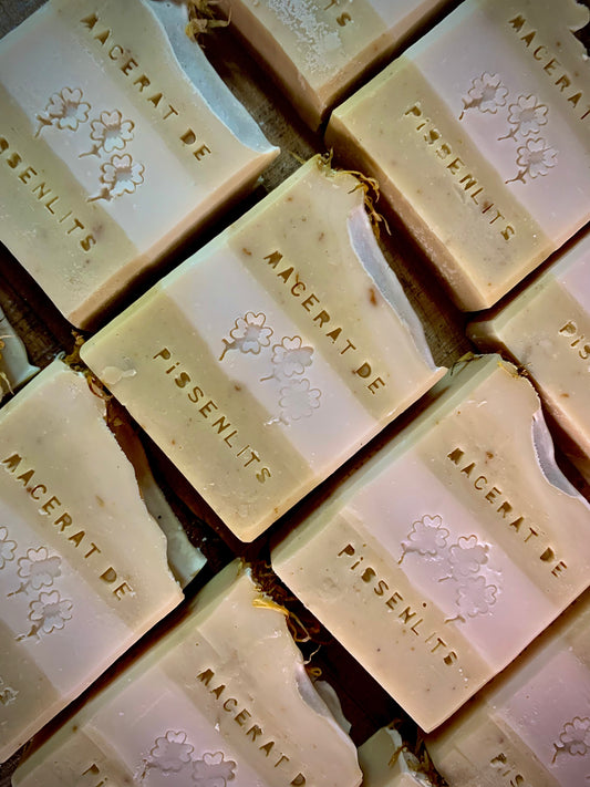 SAVON - AU MACÉRÂT DE PISSENLITS