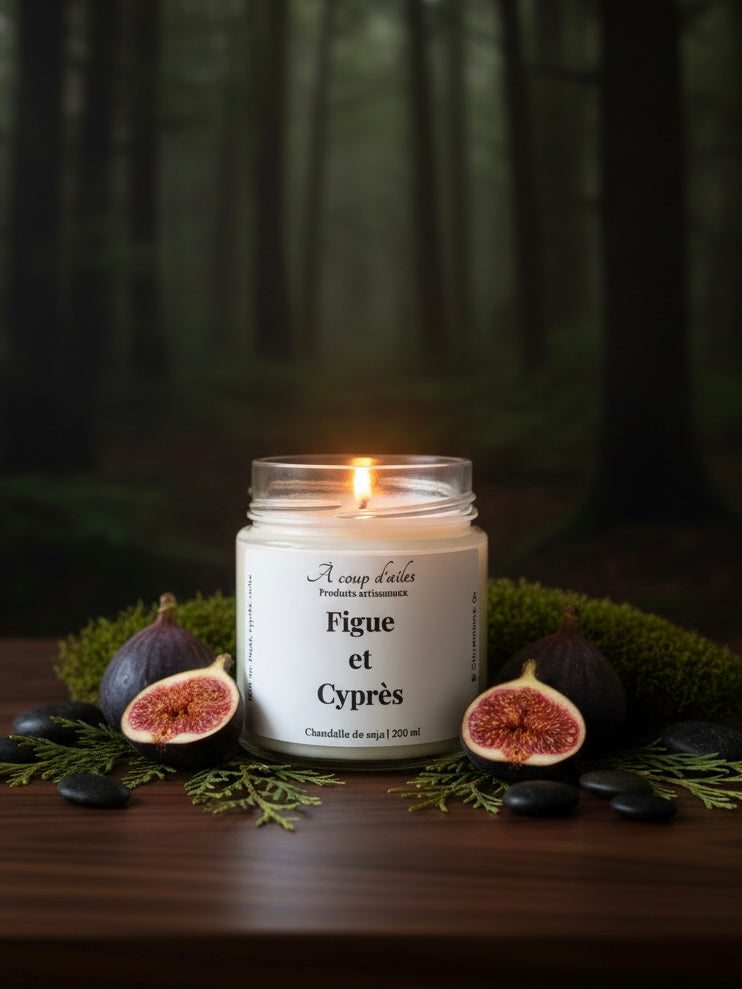FIGUE ET CYPRÈS - CHANDELLE 8oz