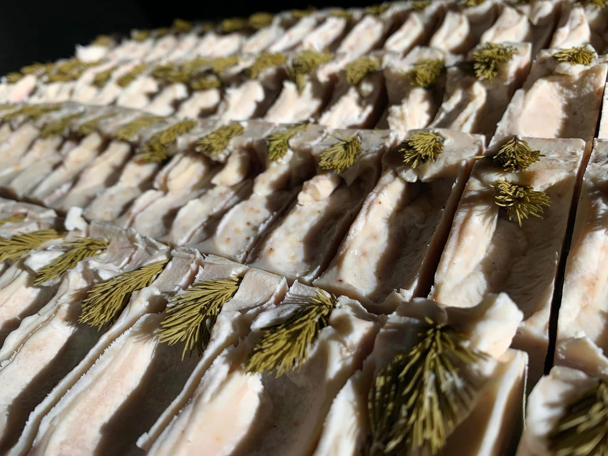 SAVON - MACÉRÂT DE POUSSES D’ÉPINETTE