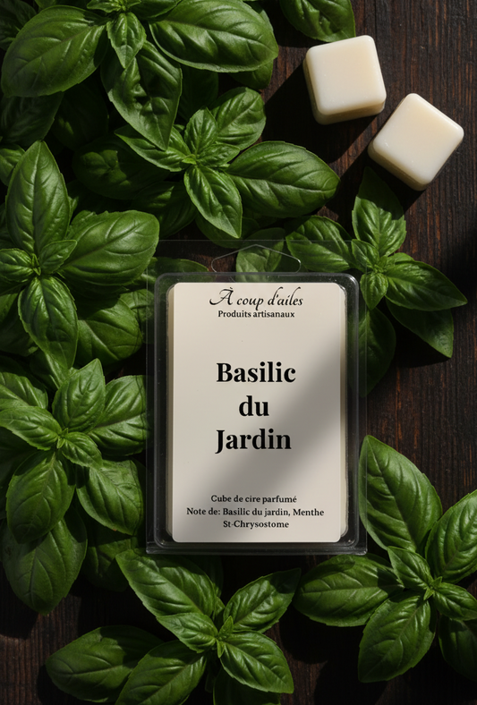Basilic du Jardin - emballage droit premier plan